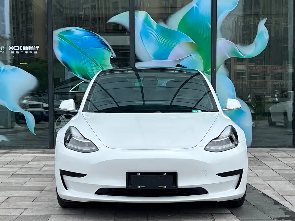 Tesla Model 3 2020 — фото 2