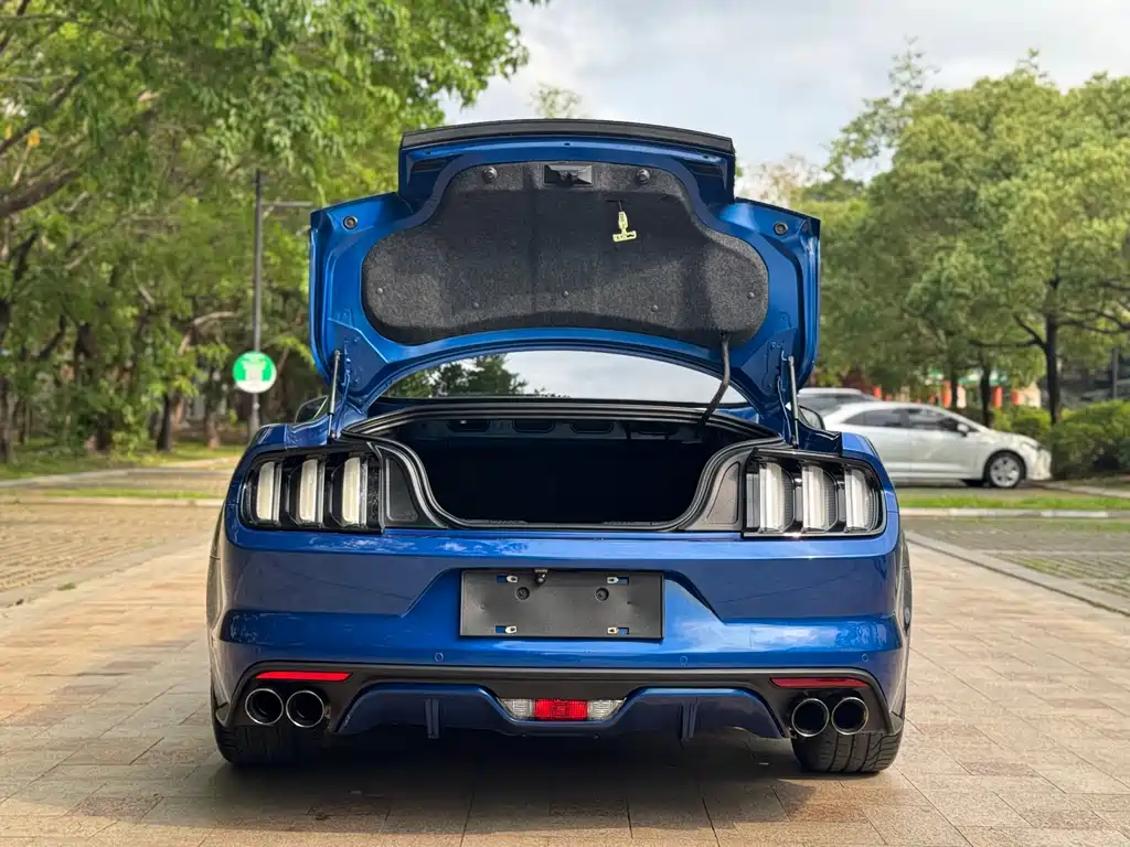 Ford Mustang 2018 — фото 21