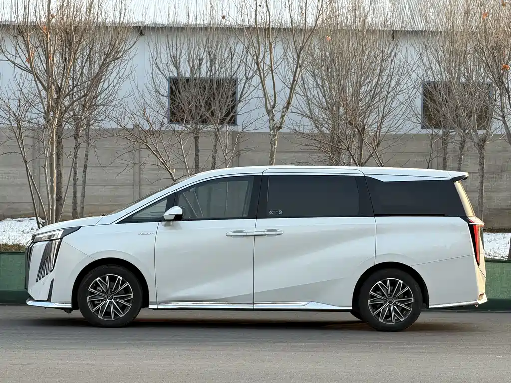 GAC Motor Trumpchi M8 2024 — фото 19
