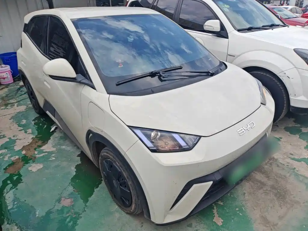BYD Seagull 2024
