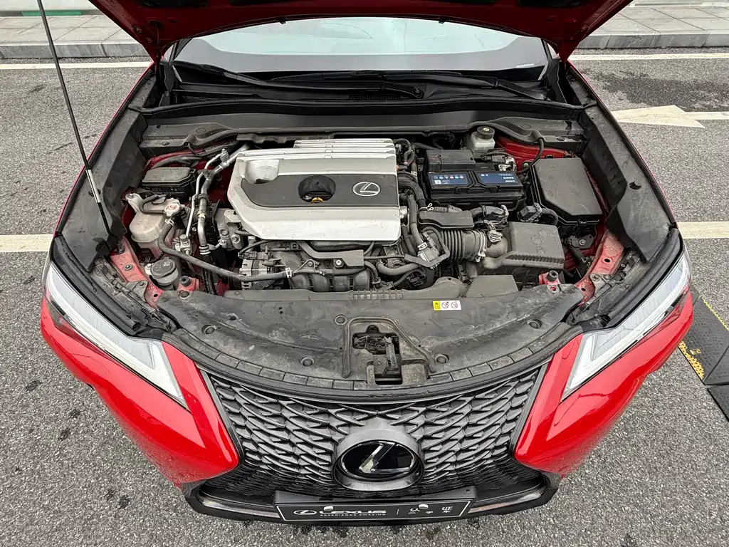 Lexus UX 2020 — фото 12