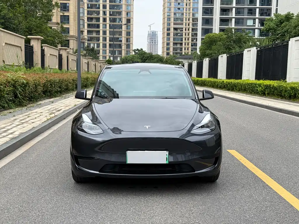Tesla Model Y 2025 — фото 3