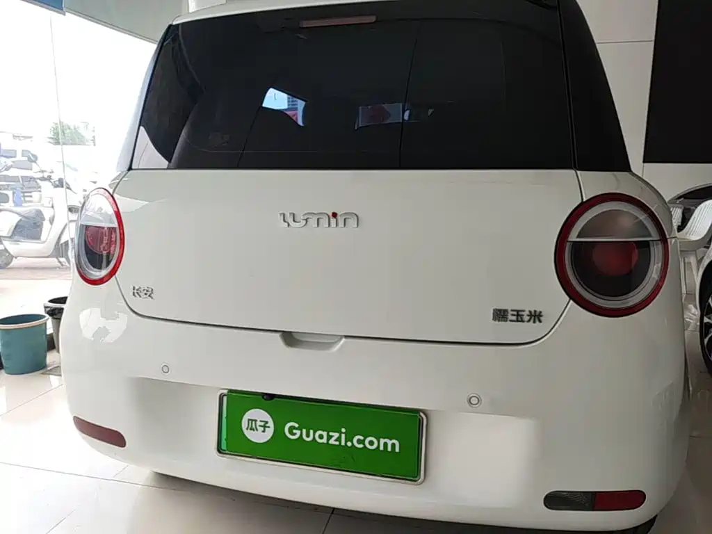 Qiyuan Lumin 2025