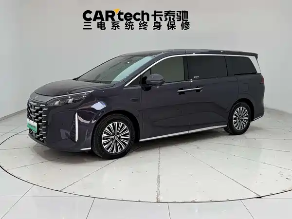 BYD Summer 2025