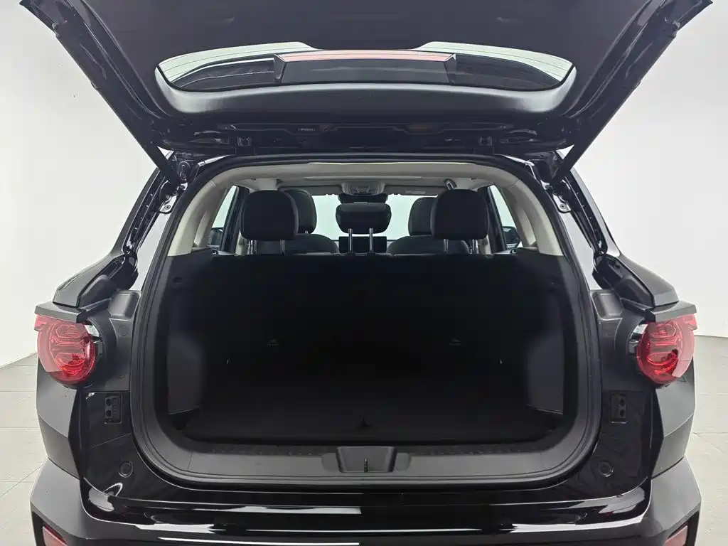 Haval Dog PLUS 2025 — фото 16