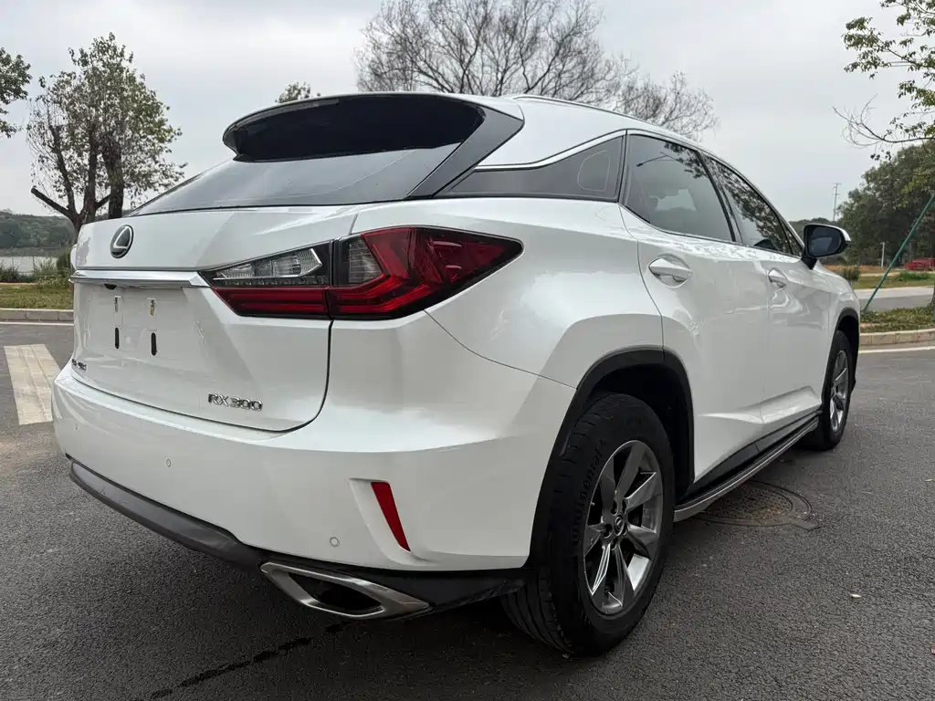 Lexus RX 2019 — фото 6