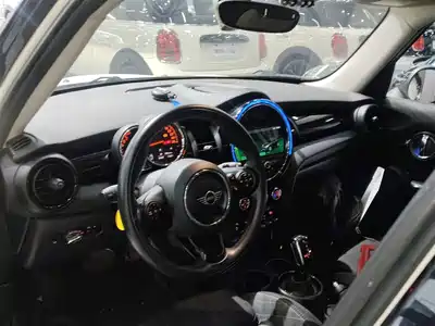 MINI MINI 2018
