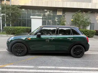MINI MINI 2017