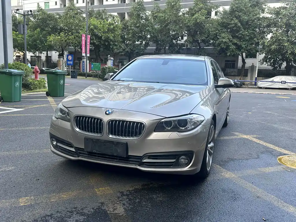 BMW 5 Series 2014