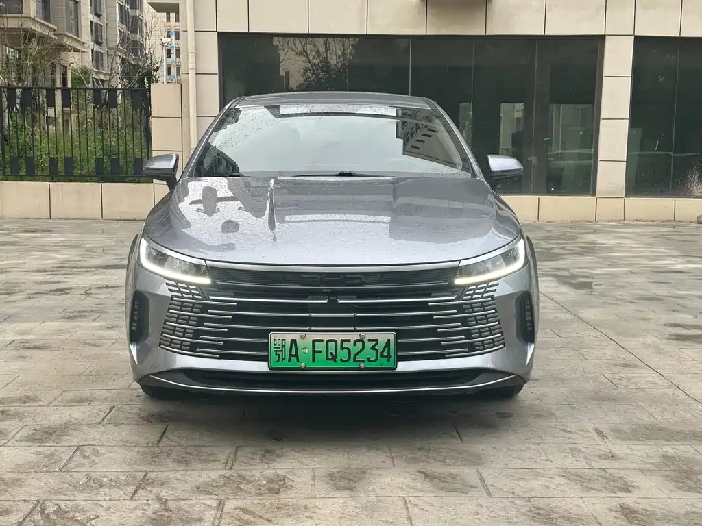 BYD Destroyer 05 2024 — фото 2