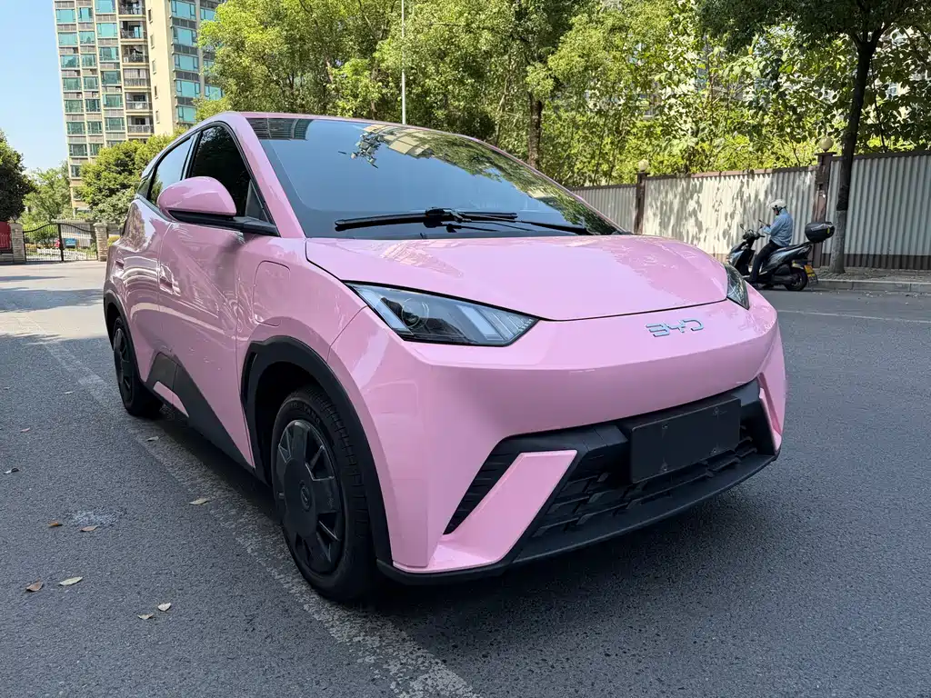 BYD Seagull 2024
