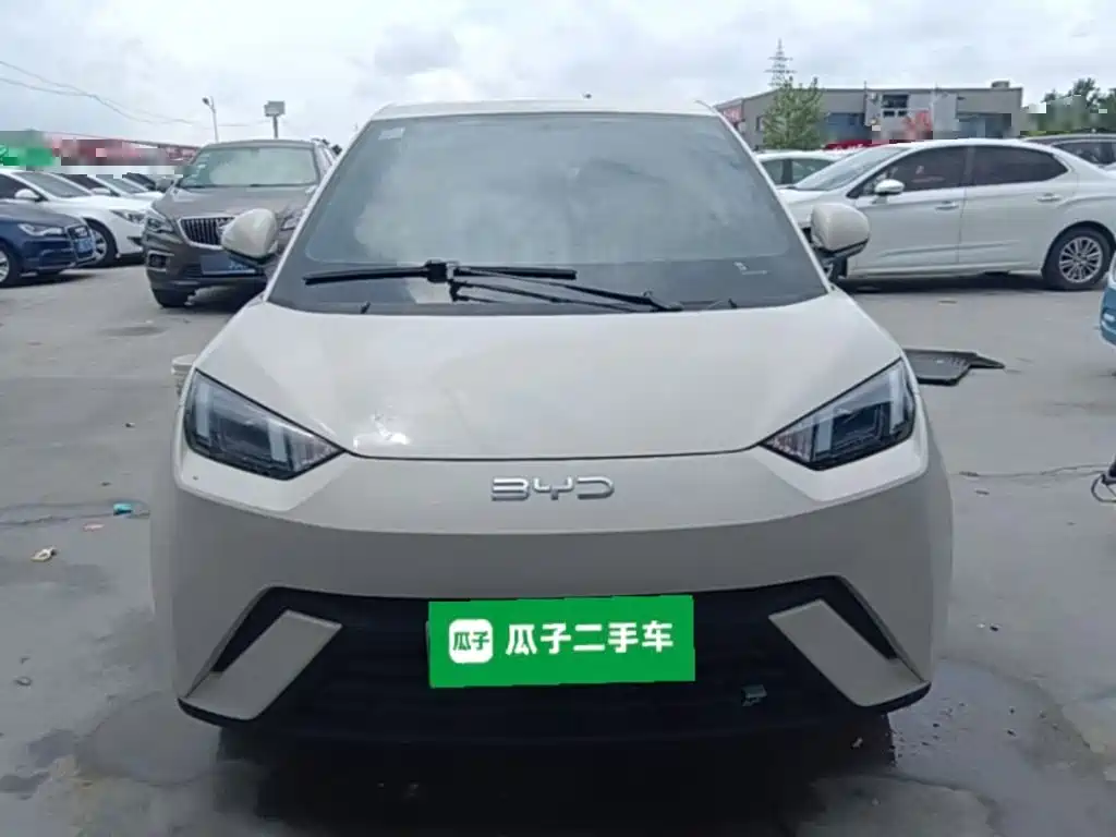 BYD Seagull 2024