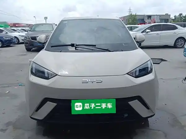 BYD Seagull 2024