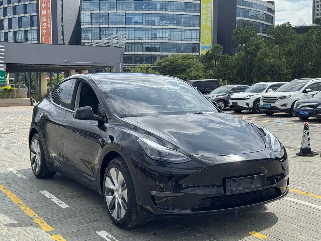 Tesla Model Y 2023 — фото 4