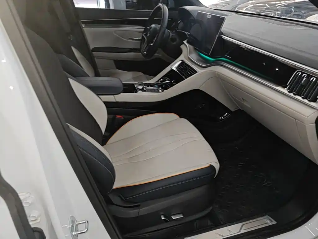 BYD PLUS New Energy 2023 — фото 20