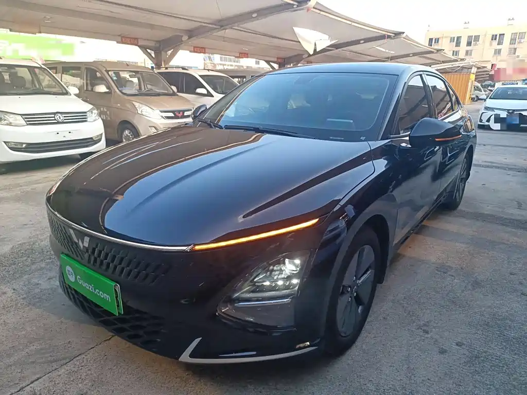 Wuling Xingguang 2024