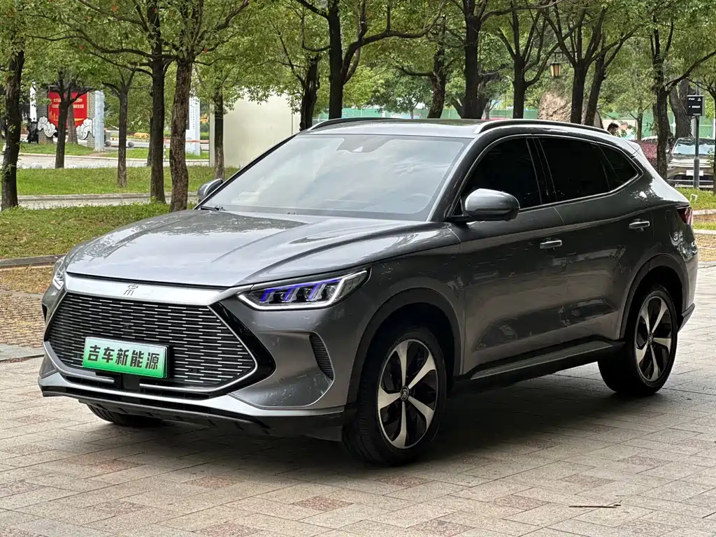 BYD PLUS New Energy 2022 — фото 1
