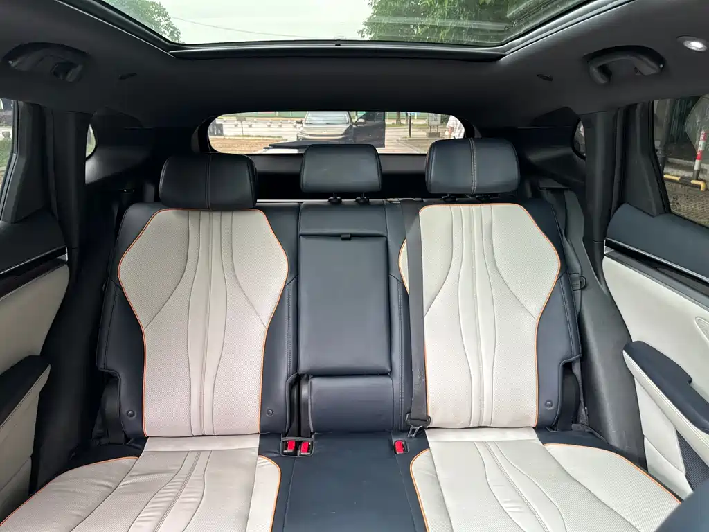 BYD PLUS New Energy 2022 — фото 19