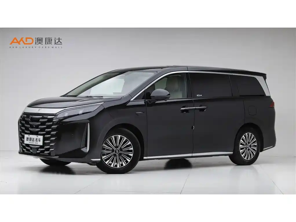 BYD Xia 2025