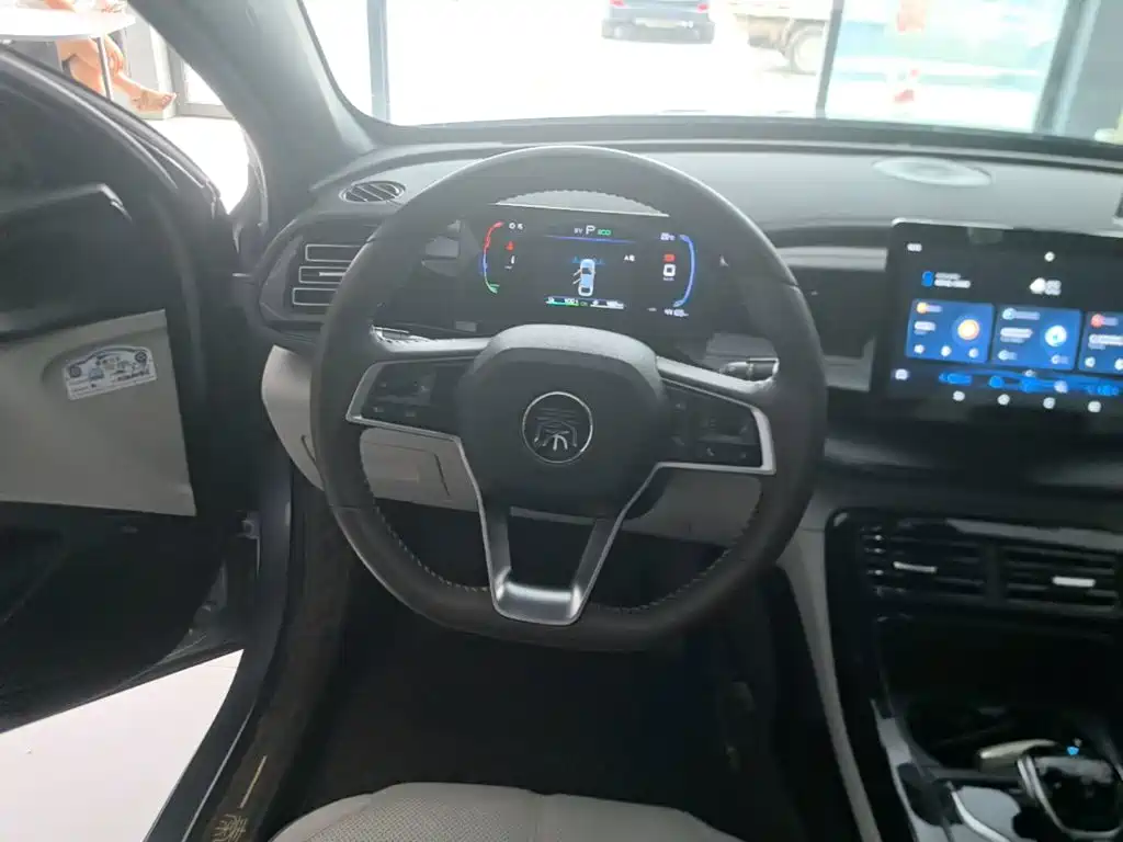 BYD Qin PLUS 2024 — фото 11