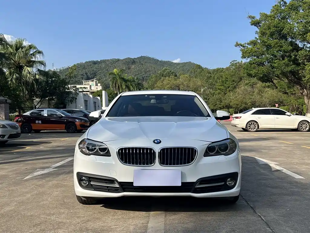 BMW 5 Series 2016