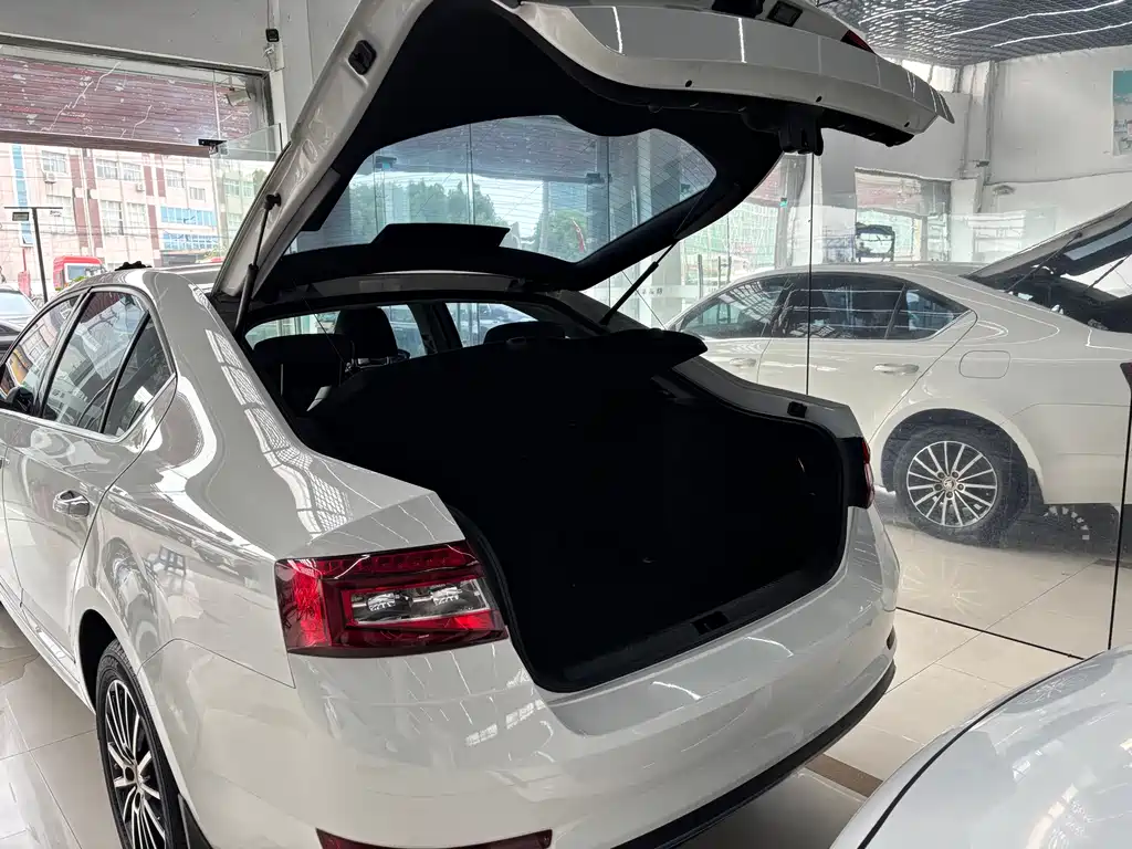 Skoda Octavia 2018 — фото 10