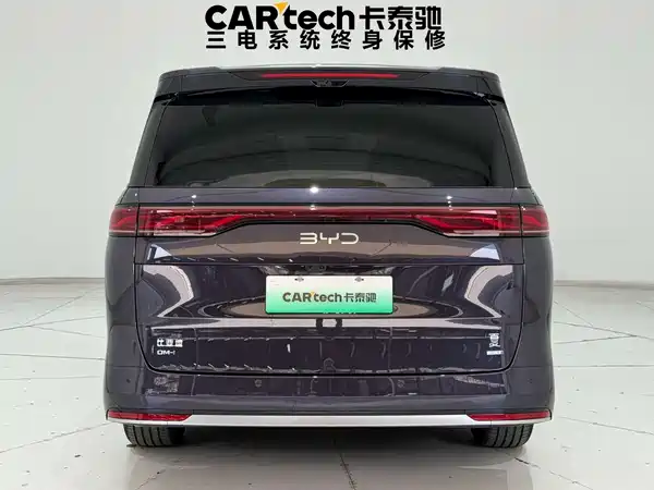 BYD Summer 2025