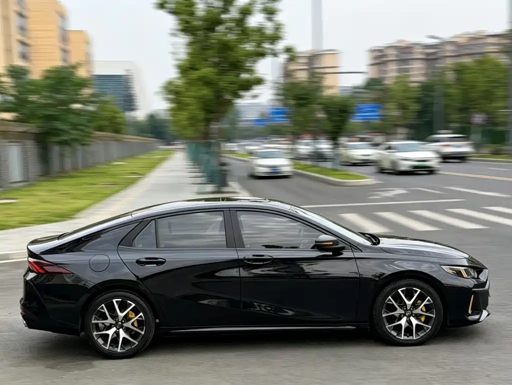 GAC Motor Shadow Leopard 2021 — фото 10