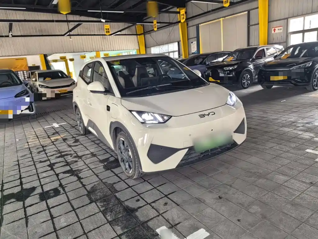 BYD Seagull 2025
