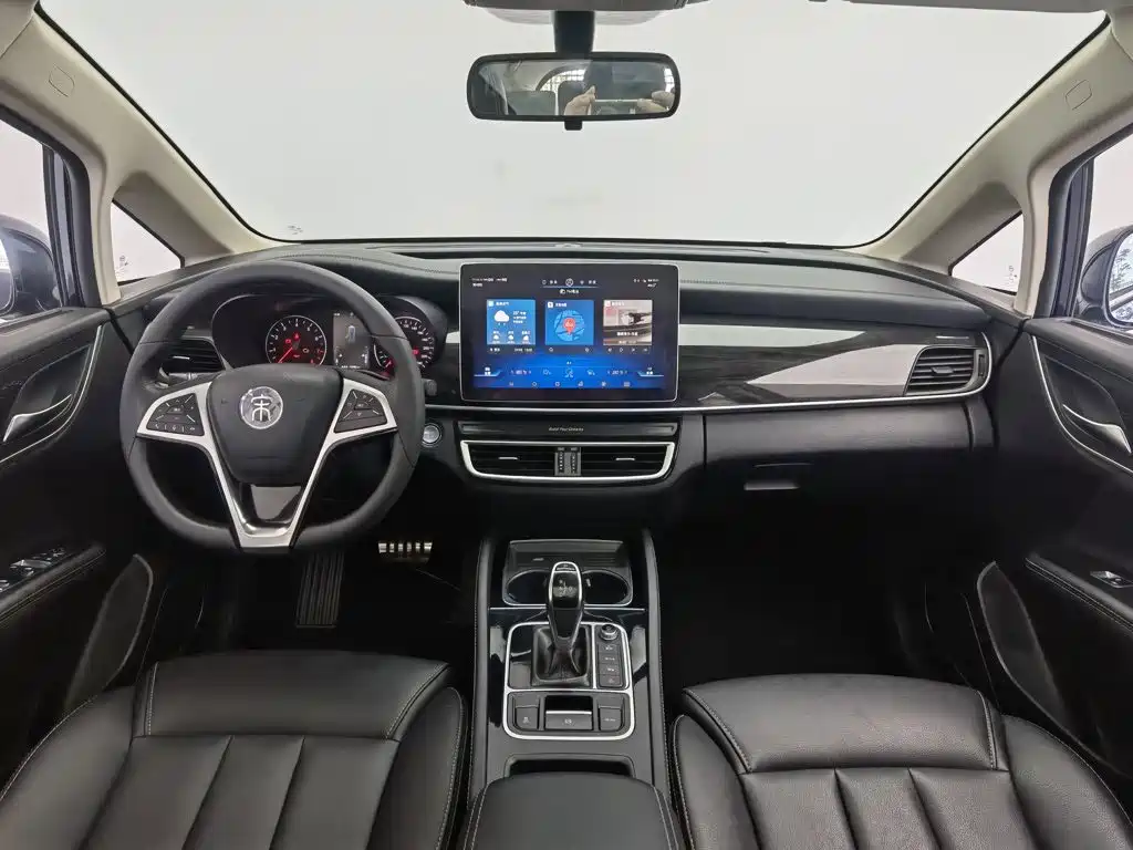 BYD MAX 2019