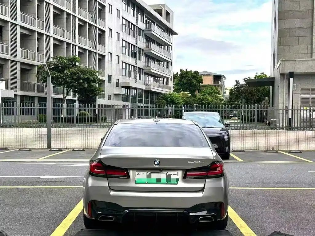 BMW 5 Series New Energy 2020