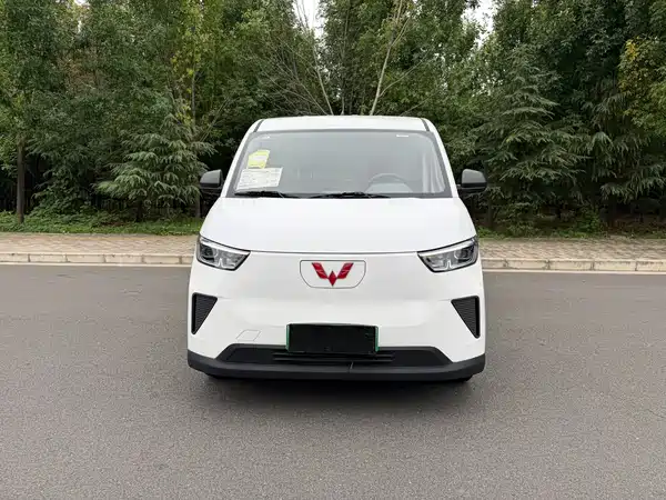 Wuling Yangguang 2026