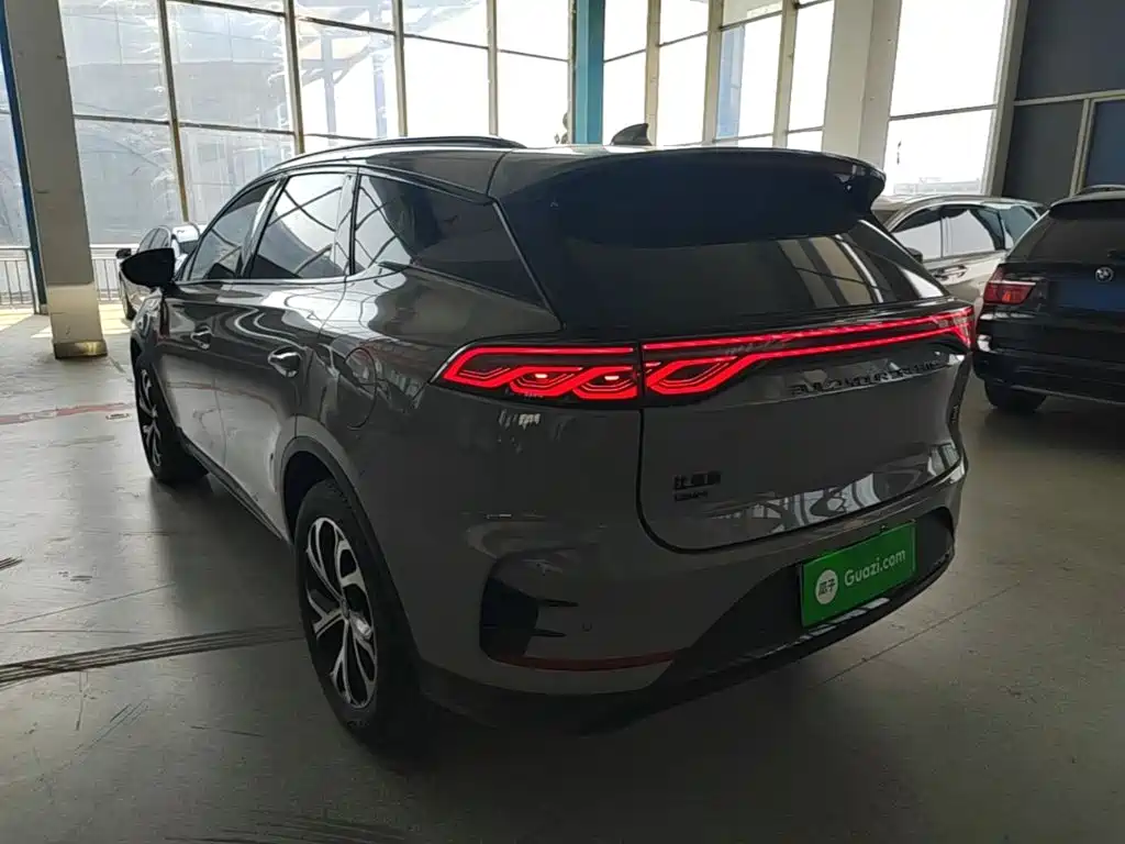 BYD Tang New Energy 2024 — фото 5