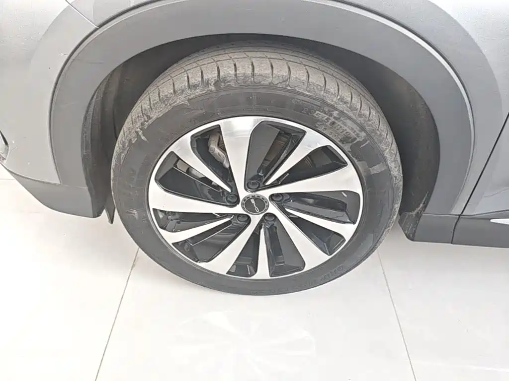 BYD PLUS New Energy 2023 — фото 23