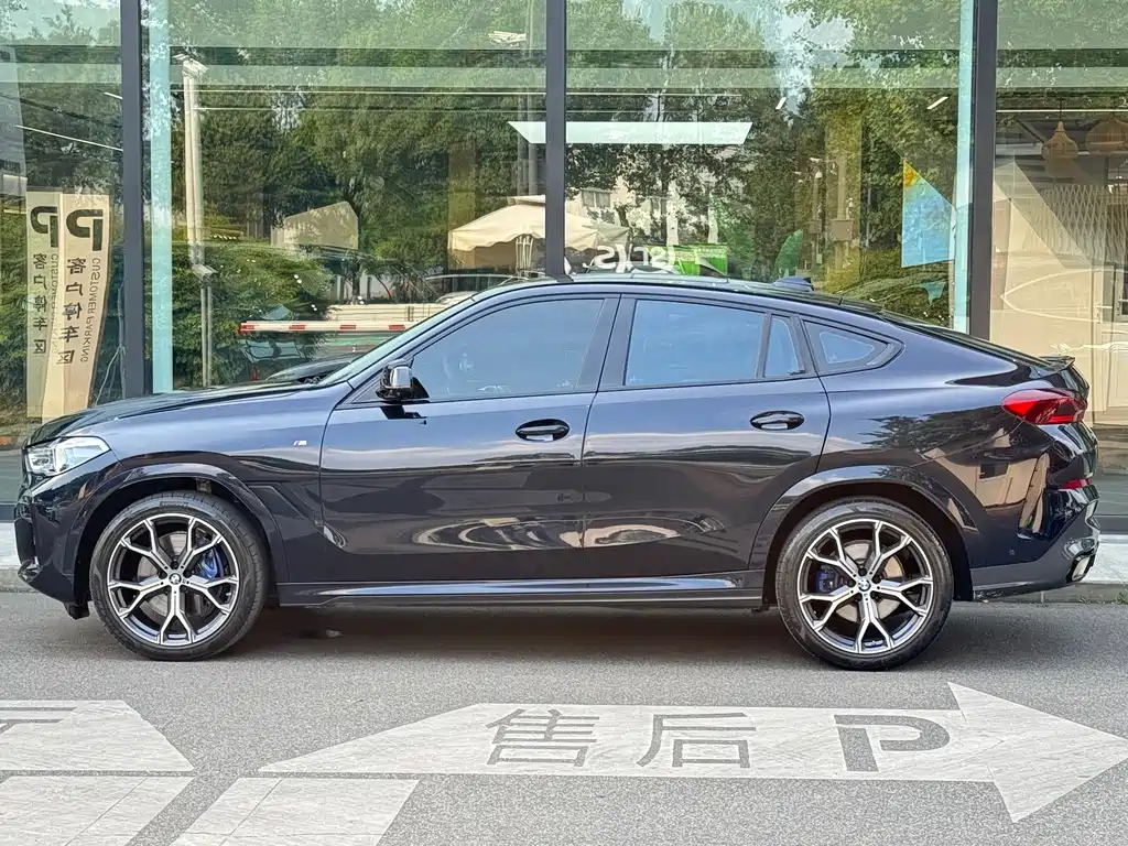 BMW X6 2024