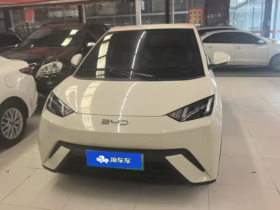 BYD Seagull 2024