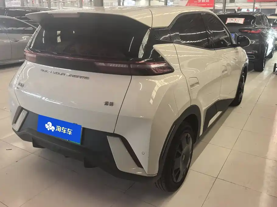 BYD Seagull 2024