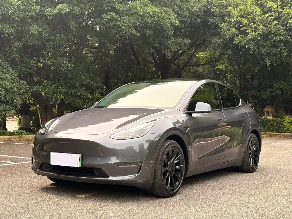 Tesla Model Y 2021 — фото 3