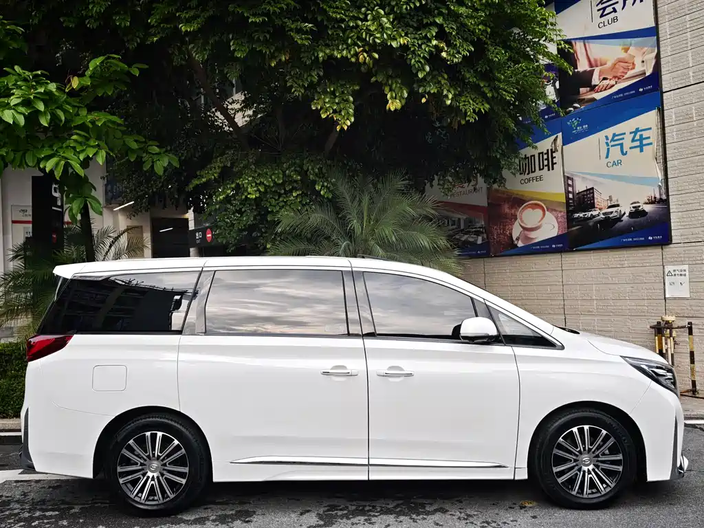 GAC Motor Trumpchi M8 2021 — фото 6