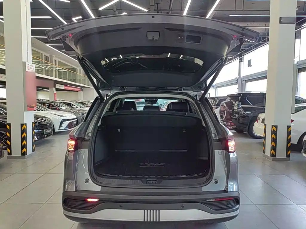 BYD Sealion 05 DM-i 2025 — фото 19