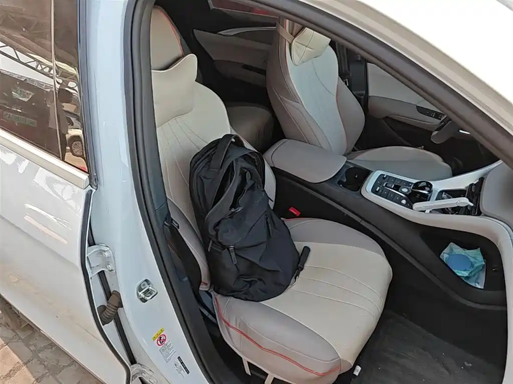 BYD Pro New Energy 2024 — фото 25