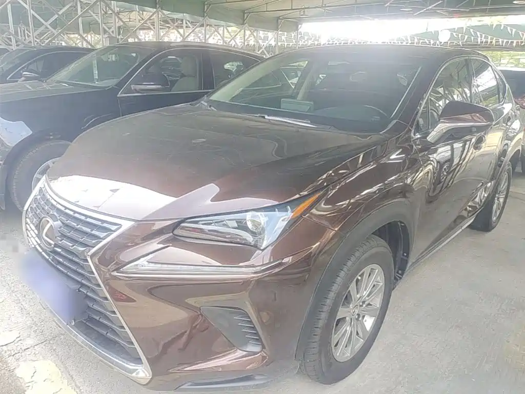 Lexus NX 2018 — фото 1