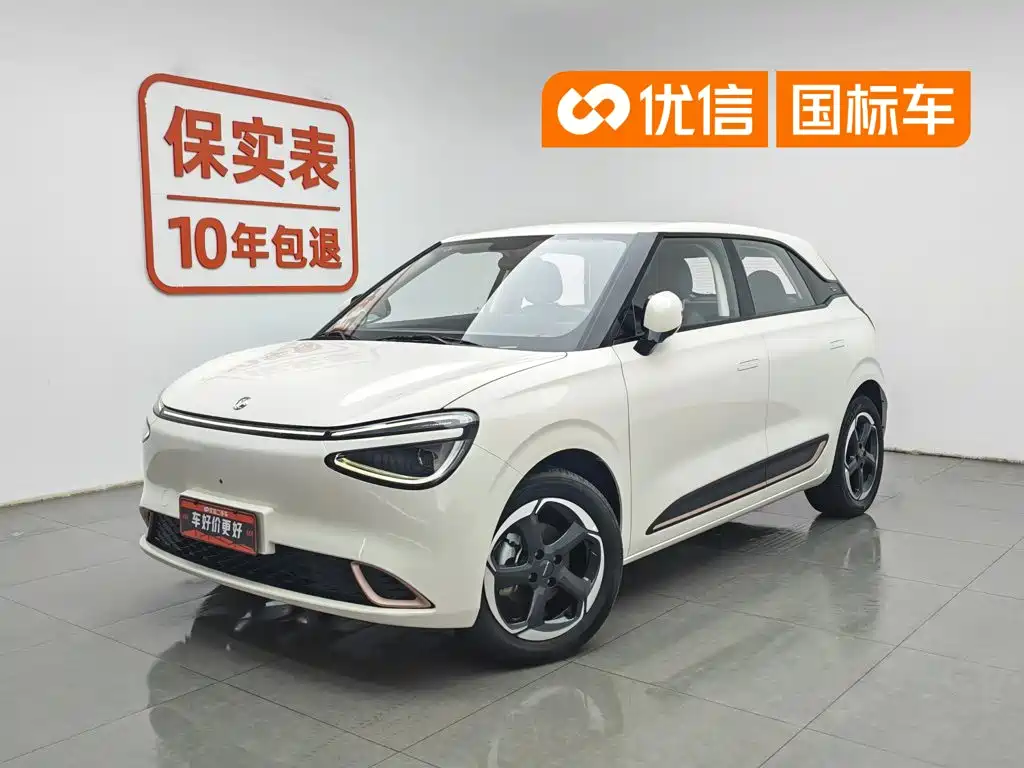 Dongfeng Nano 01 2025