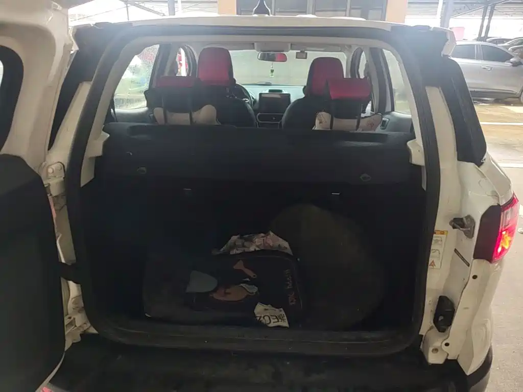 Ford EcoSport 2018 — фото 19