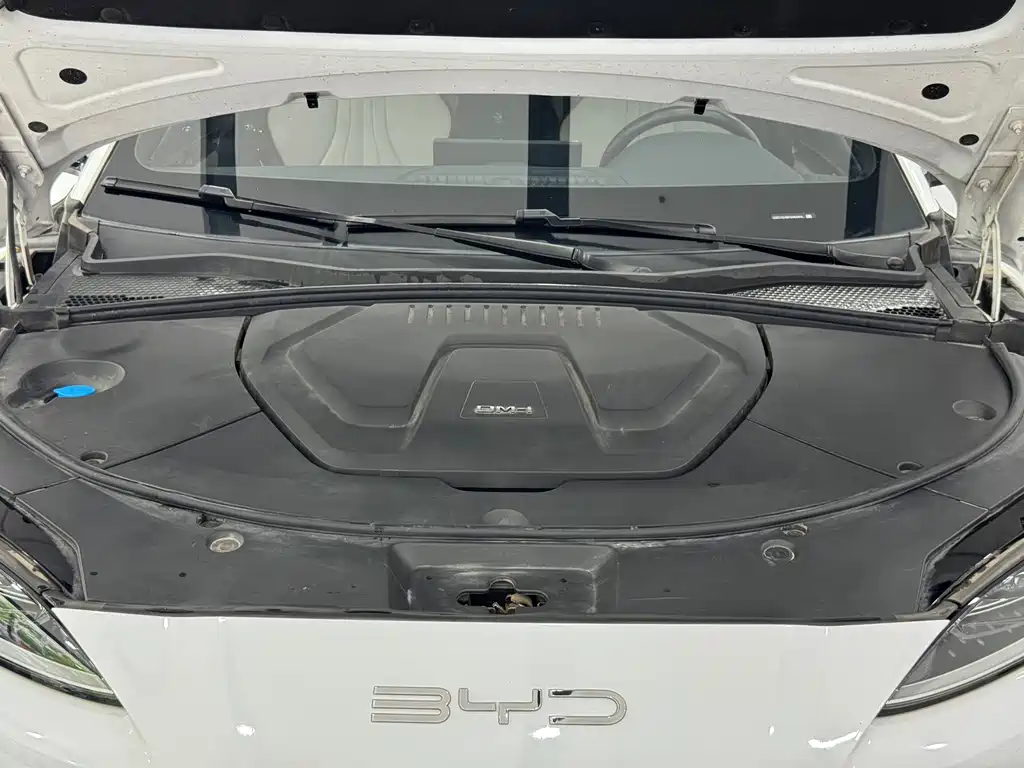 BYD Song PLUS New Energy 2023 — фото 4