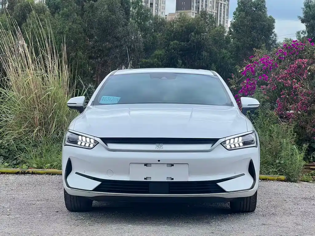 BYD Qin PLUS 2023 — фото 2