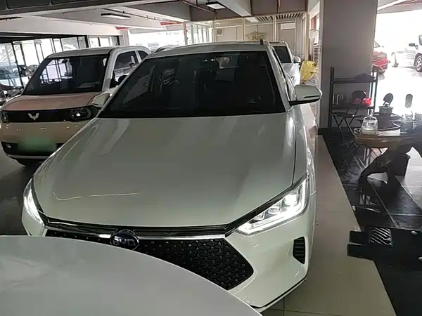 BYD e2 2021