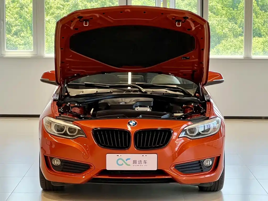 BMW 2 Series 2015 — фото 13