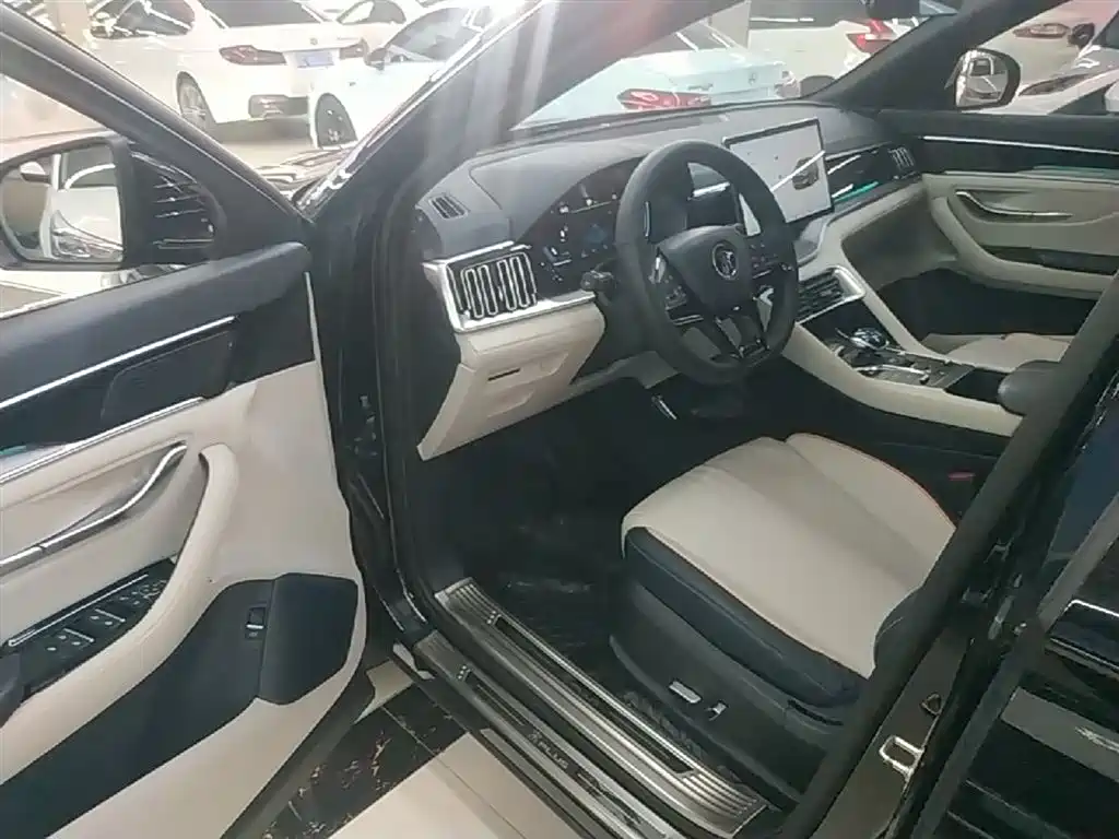 BYD PLUS New Energy 2023 — фото 16