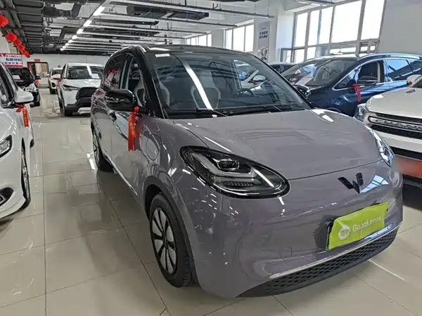Wuling Bingo 2024